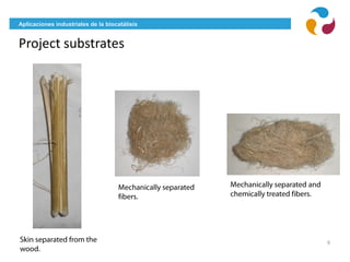 Aplicaciones industriales de la biocatálisis
Project substrates
9
 