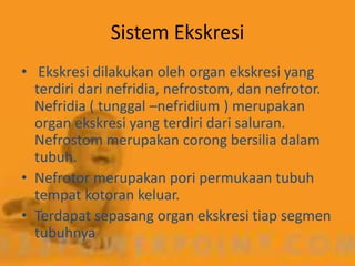 Sistem Ekskresi
• Ekskresi dilakukan oleh organ ekskresi yang
  terdiri dari nefridia, nefrostom, dan nefrotor.
  Nefridia...