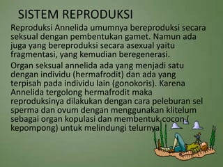 SISTEM REPRODUKSI
Reproduksi Annelida umumnya bereproduksi secara
seksual dengan pembentukan gamet. Namun ada
juga yang be...