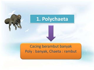 1. Polychaeta



   Cacing berambut banyak
Poly : banyak, Chaeta : rambut
 