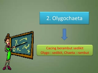2. Olygochaeta



   Cacing berambut sedikit
Olygo : sedikit, Chaeta : rambut
 