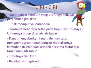 CIRI - CIRI
 - Mempunyai klitelium yang berfungsi sebagai
perkembangkbiakan
- Tidak mempunyai parapodia
 - Terdapat beberapa setae pada tiap ruas tubuhnya -
Umumnya hidup ditanah, air tawar
- Dapat menyuburkan tanah, dengan cara
menggemburkan tanah dengan memakannya
kemudian dikeluarkan kembali bersama fosfor lalu
tanah menjadi subur
- Tubuhnya dari kitin
- Bersifat hermaphrodit
 