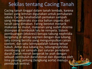 Sekilas tentang Cacing Tanah
Cacing tanah tinggal dalam tanah lembab, karena
badan yang lemnan digunakan untuk pertukaran
udara. Cacing tanahadalah pemakan sampah
yang mengekstraks sisa-sisa bahan organic dari
tanah yang dimakan. Faring berotot menarik
makanan ke mulut, makanan yang sudah dicerna
disimpan di tembolok lalu ke rempela. Sistem
pembuangan (ekskresi) berupa tabung nephridia
bergelung di setiap segmen dengan dua lubang;
satu corong bersilia yang mengumpulkan cairan
coelom, dan satu lainnyaadalah lubang keluar
tubuh. Antar dua lubang itu, tabungnephridia
membuang zat sampah dari saluran peredaran
darah.Darah merah bergerak ke arah dengan
sebuah pembuluh darahdorsal dan dipompa oleh
lima pasang jantung (lengkung aorta) menuju
pembuluh ventral.
 