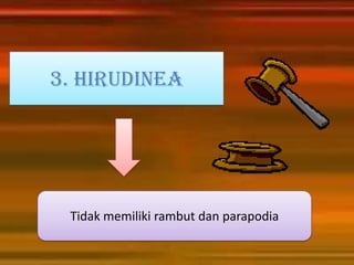 3. Hirudinea




 Tidak memiliki rambut dan parapodia
 