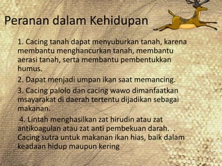 Peranan dalam Kehidupan
  1. Cacing tanah dapat menyuburkan tanah, karena
  membantu menghancurkan tanah, membantu
  aeras...