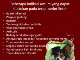 Beberapa indikasi umum yang dapat
        dilakukan pada terapi sedot lintah
•   Reaksi Inflamasi
•   Penyakit jantung
•   Rematik
•   Tendovaginitis dan tendinitis
•   Vena dan varises vena.
•   Arthtosis
•   Radang sendi dan tegang otot.
•   Antidyscratic terapi dari racun dan penyakit mental
•   Trombosis dan emboli
•   Stagnasi darah dan kondisi kejang
•   Vertebrogenic Pain Syndrome
•   Transudates dan eksudat
 