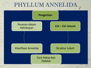 PHYLLUM ANNELIDA
                   Pengertian


  Peranan dalam
                                Ciri – Ciri Umum
    Kehi...
