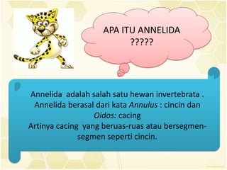 APA ITU ANNELIDA
                          ?????




Annelida adalah salah satu hewan invertebrata .
 Annelida berasal dari kata Annulus : cincin dan
                  Oidos: cacing
Artinya cacing yang beruas-ruas atau bersegmen-
              segmen seperti cincin.
 