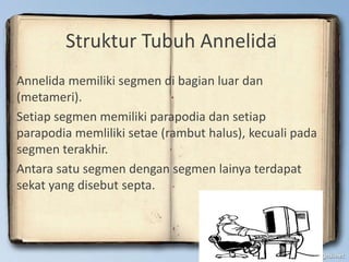 Struktur Tubuh Annelida
Annelida memiliki segmen di bagian luar dan
(metameri).
Setiap segmen memiliki parapodia dan setiap
parapodia memliliki setae (rambut halus), kecuali pada
segmen terakhir.
Antara satu segmen dengan segmen lainya terdapat
sekat yang disebut septa.
 