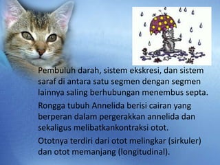 Pembuluh darah, sistem ekskresi, dan sistem
saraf di antara satu segmen dengan segmen
lainnya saling berhubungan menembus ...