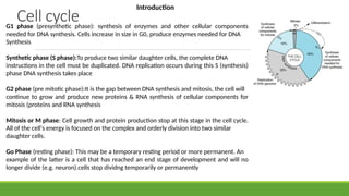 G1 phase (presynthetic phase): synthesis of enzymes and other cellular components
needed for DNA synthesis. Cells increase in size in G0, produce enzymes needed for DNA
Synthesis
Synthetic phase (S phase):To produce two similar daughter cells, the complete DNA
instructions in the cell must be duplicated. DNA replication occurs during this S (synthesis)
phase DNA synthesis takes place
G2 phase (pre mitotic phase):It is the gap between DNA synthesis and mitosis, the cell will
continue to grow and produce new proteins & RNA synthesis of cellular components for
mitosis (proteins and RNA synthesis
Mitosis or M phase: Cell growth and protein production stop at this stage in the cell cycle.
All of the cell's energy is focused on the complex and orderly division into two similar
daughter cells.
Go Phase (resting phase): This may be a temporary resting period or more permanent. An
example of the latter is a cell that has reached an end stage of development and will no
longer divide (e.g. neuron).cells stop dividng temporarily or permanently
Cell cycle
Introduction
 