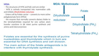 MOA:
◦ The structures of MTX and folic acid are similar
◦ MTX is actively transported into mammalian cells
and inhibits dihydrofolate reductase
◦ Enters cell by Folate carrier – converts to more active
polyglutamate form (FPGS)
◦ the enzyme that normally converts dietary folate to
the tetrahydrofolate required for one carbon atom
transfer reactions in de novo purine synthesis and
amino acid interconversion
 