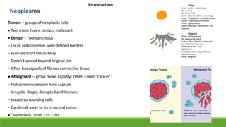 Neoplasms
Tumors = groups of neoplastic cells
• Two major types: benign, malignant
• Benign – “noncancerous”
– Local; cells cohesive, well-defined borders
– Push adjacent tissue away
– Doesn’t spread beyond original site
– Often has capsule of fibrous connective tissue
• Malignant – grow more rapidly; often called“cancer”
– Not cohesive; seldom have capsule
– Irregular shape; disrupted architecture
– Invade surrounding cells
– Can break away to form second tumor
• “Metastasis” from 1 to 2 site
Introduction
 