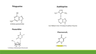 Thioguanine Azathioprine
Fluoxuridine
Fluorouracil,
 