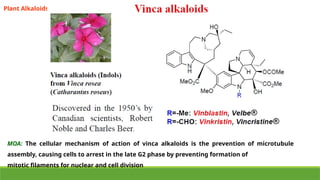 Plant Alkaloids
MOA: The cellular mechanism of action of vinca alkaloids is the prevention of microtubule
assembly, causing cells to arrest in the late G2 phase by preventing formation of
mitotic filaments for nuclear and cell division
 