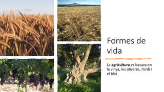 Formes de
vida
La agricultura es basava en
la vinya, les oliveres, l’ordi i
el blat
 