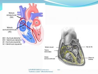LOURDES BAILE LORENZO IES
"Gabriel y Galán" (Montehermoso)
 