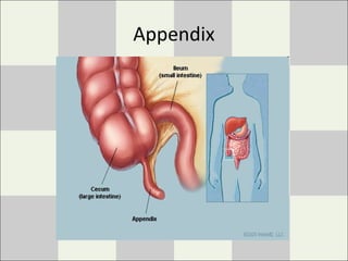 Appendix
 