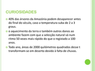 CURIOSIDADES 40% das árvores da Amazónia podem desaparecer antes do final do século, caso a temperatura suba de 2 a 3 graus. o aquecimento da terra e também outros danos ao ambiente fazem com que a selecção natural vá num ritmo 50 vezes mais rápido do que o registado a 100 anos. Todo ano, áreas de 2000 quilómetros quadrados desse t transformam-se em deserto devido à falta de chuvas.
