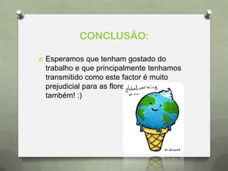 CONCLUSÃO:
O Esperamos que tenham gostado do
trabalho e que principalmente tenhamos
transmitido como este factor é muito
prejudicial para as florestas e para nós
também! :)
 