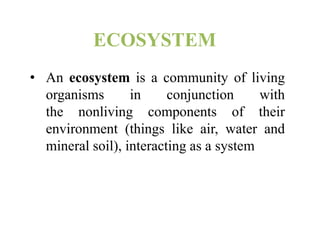 ecosystem diversity | PPT