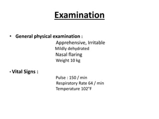 Examination
• General physical examination :
Apprehensive, Irritable
Mildly dehydrated
Nasal flaring
Weight 10 kg
• Vital Signs :
Pulse : 150 / min
Respiratory Rate 64 / min
Temperature 102°F
 