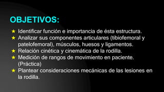 ★ Identificar función e importancia de ésta estructura.
★ Analizar sus componentes articulares (tibiofemoral y
patelofemoral), músculos, huesos y ligamentos.
★ Relación cinética y cinemática de la rodilla.
★ Medición de rangos de movimiento en paciente.
(Práctica)
★ Plantear consideraciones mecánicas de las lesiones en
la rodilla.
OBJETIVOS:
 