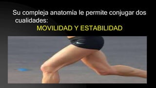 Su compleja anatomía le permite conjugar dos
cualidades:
MOVILIDAD Y ESTABILIDAD
 