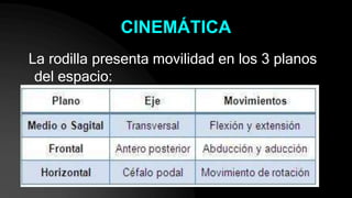 CINEMÁTICA
La rodilla presenta movilidad en los 3 planos
del espacio:
 