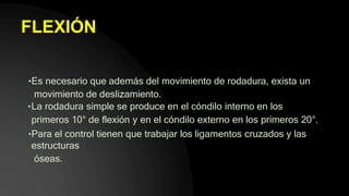 FLEXIÓN
•Es necesario que además del movimiento de rodadura, exista un
movimiento de deslizamiento.
•La rodadura simple se produce en el cóndilo interno en los
primeros 10° de flexión y en el cóndilo externo en los primeros 20°.
•Para el control tienen que trabajar los ligamentos cruzados y las
estructuras
óseas.
 