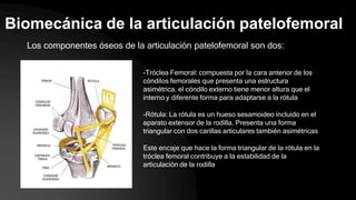 Biomecánica de la articulación patelofemoral
Los componentes óseos de la articulación patelofemoral son dos:
-Tróclea Femoral: compuesta por la cara anterior de los
cóndilos femorales que presenta una estructura
asimétrica, el cóndilo externo tiene menor altura que el
interno y diferente forma para adaptarse a la rótula
-Rótula: La rótula es un hueso sesamoideo incluido en el
aparato extensor de la rodilla. Presenta una forma
triangular con dos carillas articulares también asimétricas
Este encaje que hace la forma triangular de la rótula en la
tróclea femoral contribuye a la estabilidad de la
articulación de la rodilla
 