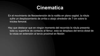 Cinematica
En el movimiento de flexoextensión de la rodilla en plano sagital, la rótula
sufre un desplazamiento de arriba a abajo alrededor de 7 cm sobre la
tróclea femoral.
Hay que destacar que en ningún momento del recorrido la rótula presenta
toda su superficie de contacto al fémur, esta se desplaza del tercio distal de
la rotula en extensión al tercio proximal en flexión
 