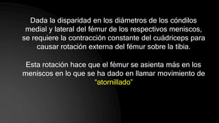 Dada la disparidad en los diámetros de los cóndilos
medial y lateral del fémur de los respectivos meniscos,
se requiere la contracción constante del cuádriceps para
causar rotación externa del fémur sobre la tibia.
Esta rotación hace que el fémur se asienta más en los
meniscos en lo que se ha dado en llamar movimiento de
“atornillado”
 