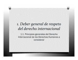 1. Deber general de respeto 
 del derecho internacional
   1.1. Principios generales del Derecho
Internacional de los Derechos Humanos a
                 considerar
 