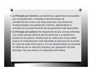 o a) Principio pro homine: Los derechos y garantías reconocidos
    por la Constitución y tratados internacionales se
    complementan unos a los otros para dar a los derechos
    fundamentales una protección máxima, aplicándose el
    principio de la preeminencia de las garantías más favorables.
o   b) Principio pro actione: Se desprende de las normas referidas
    a la tutela judicial efectiva de los derechos y al derecho al
    acceso de la justicia. Implica que en cada caso el juez debe
    buscar la interpretación más favorable al ejercicio de la acción.
    En caso de duda entre abrir o no una determinada vía procesal
    en defensa de un derecho humano, por aplicación de este
    principio, hay que estar a la respuesta afirmativa.
 