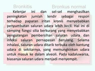 Kelenjar ini dan sel-sel menghasilkan peningkatan jumlah lendir sebagai respon terhadap paparan iritan kronis menyebabkan penyumbatan saluran udara lebih kecil. Hal ini di samping fungsi silia berkurang yang menyebabkan pengurangan pembersihan saluran udara dan infeksi saluran pernapasan berulang. Selama inhalasi, saluran udara ditarik terbuka oleh kantung udara di sekitarnya, yang memungkinkan udara untuk masuk ke dalam alveoli. Pada kadaluwarsa, biasanya saluran udara menjadi menyempit. 