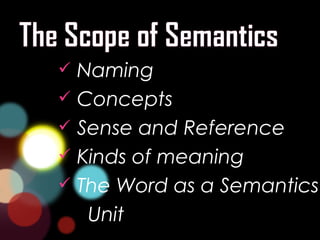 the scope of semantic