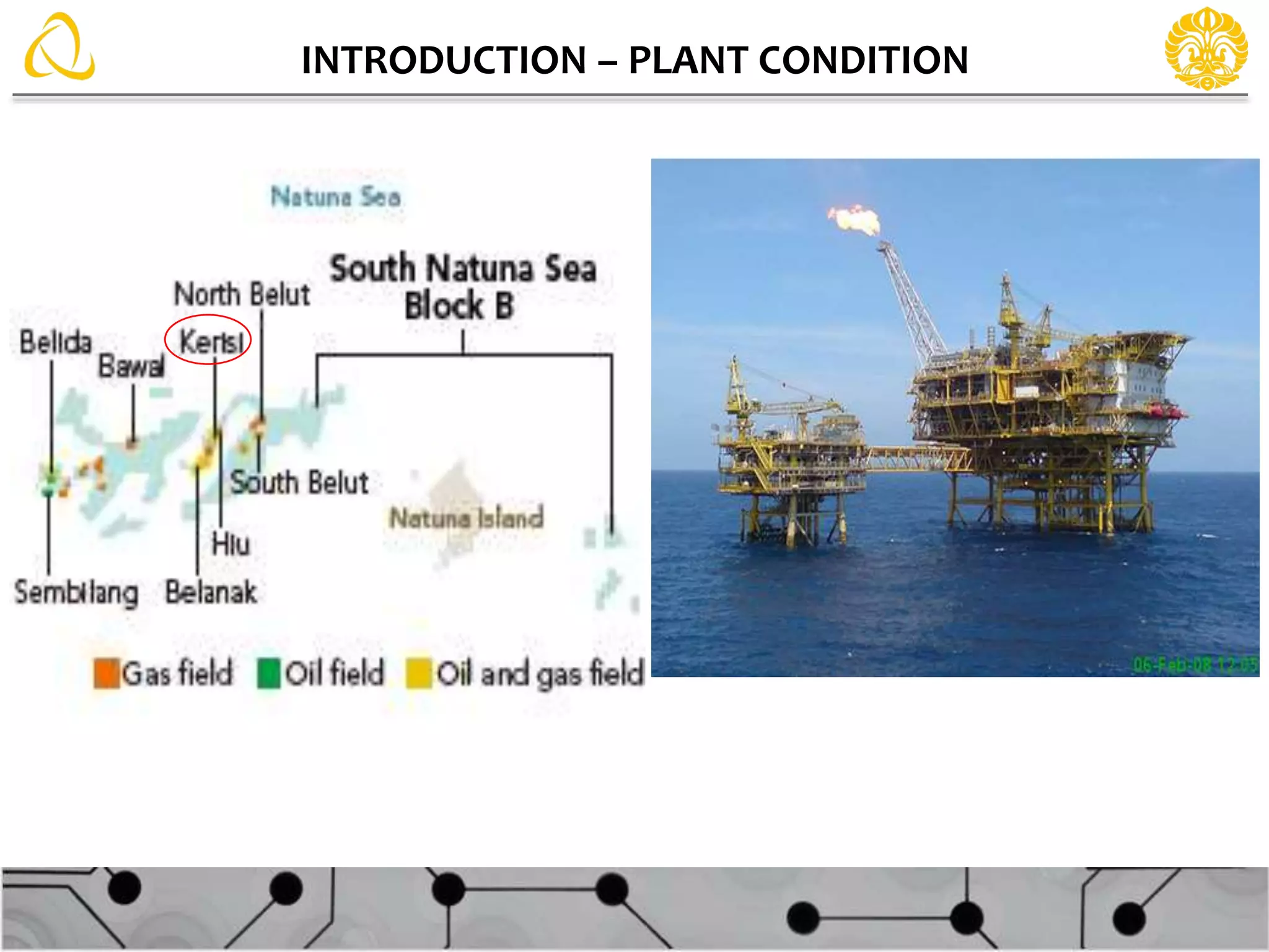 INTRODUCTION – PLANT CONDITION
 