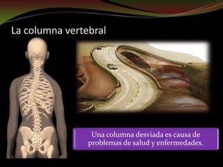 https://image.slidesharecdn.com/pptatlasprofilaxlacolumnavertebral-130902101459-phpapp02/85/la-columna-vertebral-4-320.jpg?cb=1669793542