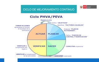 PPT AT Proyectos de Mejora Continua de la Calidad en Salud MINSA 25.pdf
