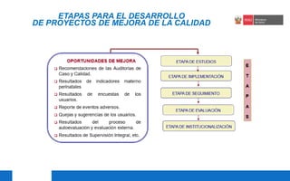 PPT AT Proyectos de Mejora Continua de la Calidad en Salud MINSA 25.pdf