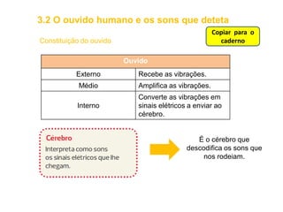 Ouvido
Externo Recebe as vibrações.
Médio Amplifica as vibrações.
Interno
Converte as vibrações em
sinais elétricos a enviar ao
cérebro.
É o cérebro que
descodifica os sons que
nos rodeiam.
3.2 O ouvido humano e os sons que deteta
Constituição do ouvido
Copiar para o
caderno
 