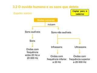 Espetro sonoro
Ondas sonoras
incluem
Sons audíveis Sons não audíveis
Sons
Ondas com
frequência
entre 20 Hz e
20 000 Hz
Infrassons Ultrassons
Ondas com
frequência inferior
a 20 Hz
Ondas com
frequência superior
a 20 000 Hz
3.2 O ouvido humano e os sons que deteta
Copiar para o
caderno
 
