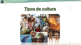 Tipos de cultura
6
 