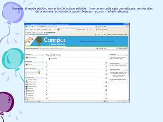 Ingresar al modo edición, con el botón activar edición.  Insertar en cada caja una etiqueta con los días de la semana activando la opción Insertar recurso > añadir etiqueta. 