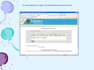 Se van creando las “cajas” con las semanas que tiene el curso. 