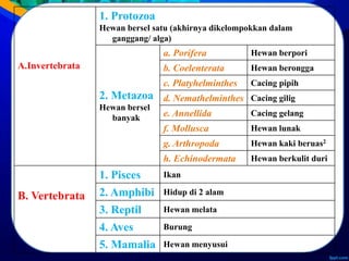 A.Invertebrata
Tidak
bertulang
belakang
1. Protozoa
Hewan bersel satu (akhirnya dikelompokkan dalam
ganggang/ alga)
2. Metazoa
Hewan bersel
banyak
a. Porifera Hewan berpori
b. Coelenterata Hewan berongga
c. Platyhelminthes Cacing pipih
d. Nemathelminthes Cacing gilig
e. Annellida Cacing gelang
f. Mollusca Hewan lunak
g. Arthropoda Hewan kaki beruas2
h. Echinodermata Hewan berkulit duri
B. Vertebrata
Bertulang
belakang
1. Pisces Ikan
2. Amphibi Hidup di 2 alam
3. Reptil Hewan melata
4. Aves Burung
5. Mamalia Hewan menyusui
 