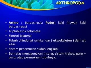 ARTHROPODA
• Arthro : beruas-ruas; Podos: kaki (hewan kaki
beruas-ruas)
• Triploblastik selomata
• Simetri bilateral
• Tubuh dilindungi rangka luar ( eksoskeleton ) dari zat
kitin
• Sistem pencernaan sudah lengkap
• Bernafas menggunakan insang, sistem trakea, paru –
paru, atau permukaan tubuhnya.
 