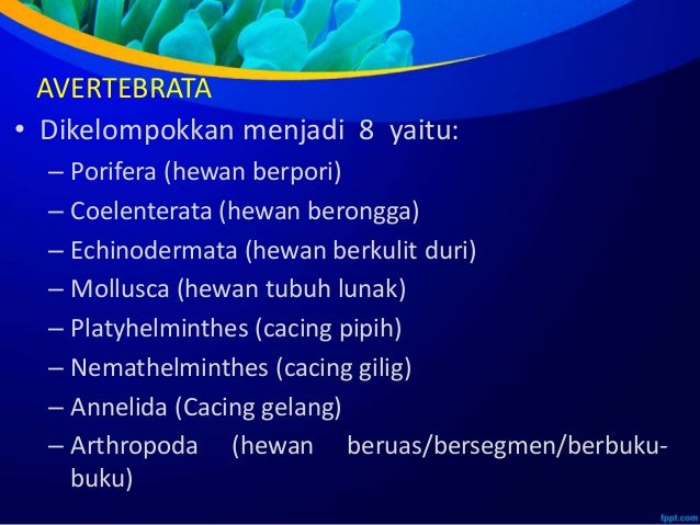 Ppt avertebrata Ppt avertebrata
