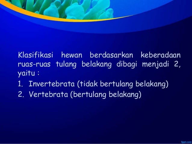 Ppt avertebrata